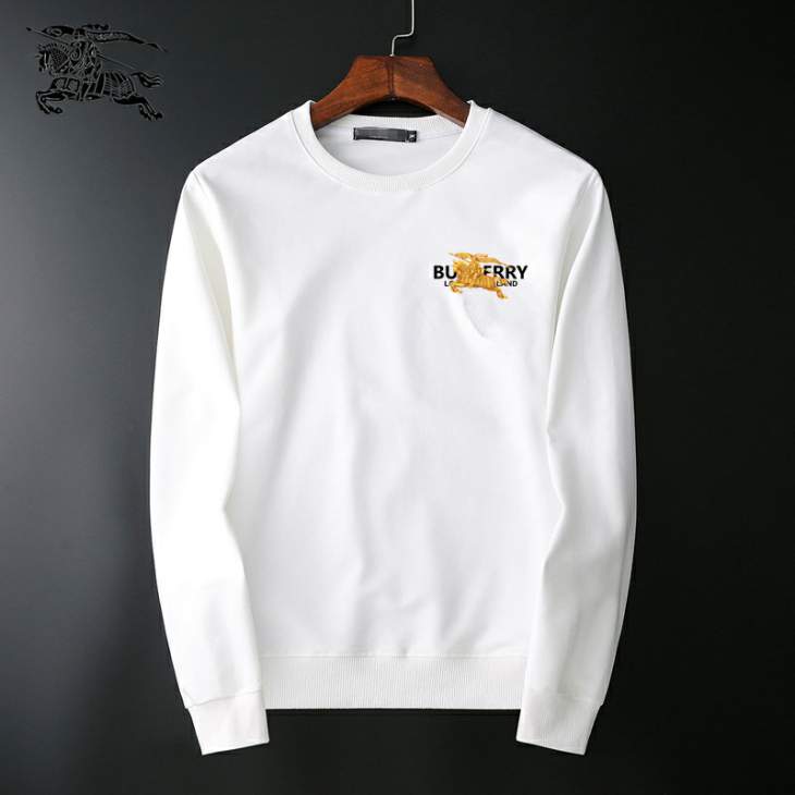 Picture of Burberry Sweatshirt _SKUBurberryM-3XL25tr26030777